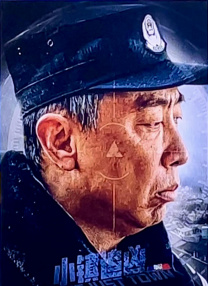 国产欧美日韩va
