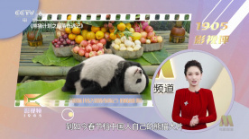 国产欧美日韩va